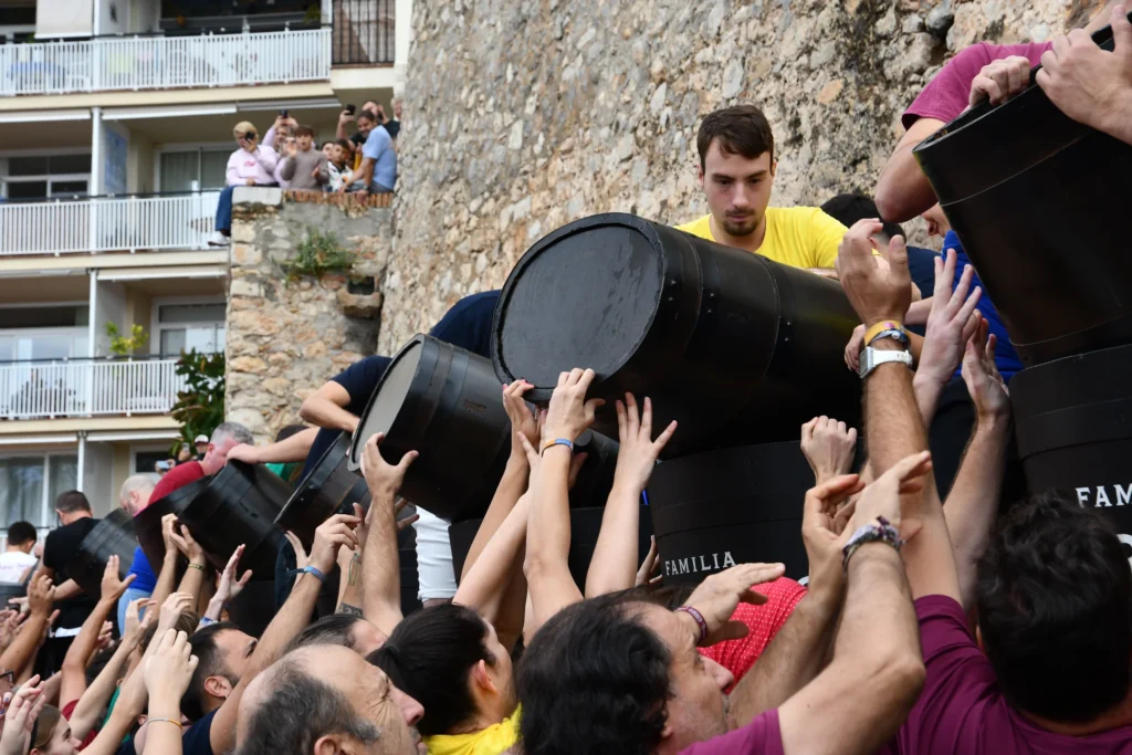 Fira de la Verema i Mostra de Vins