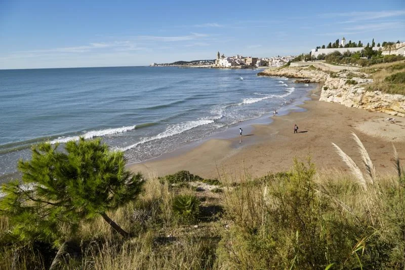 Foto Platja Balmins