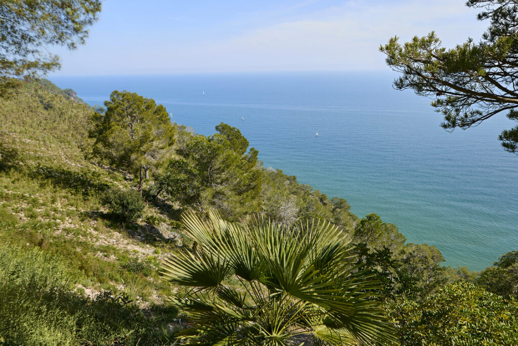 Paisatge del Parc del Garraf amb vegetació mediterrània i vistes al mar