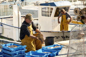 Pescadors descarregant peix en un port de Sitges